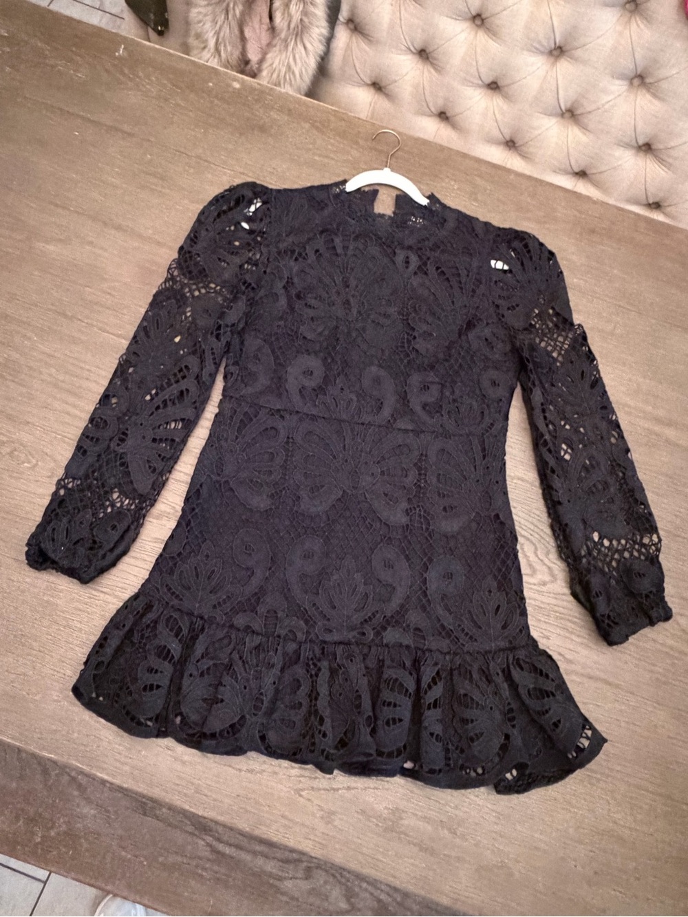 Francesca's Collections Black Lace Mini Dress
